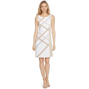 White House black market Sleeveless Neutral Colorblock Dress